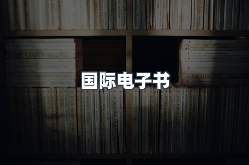 国际电子书
